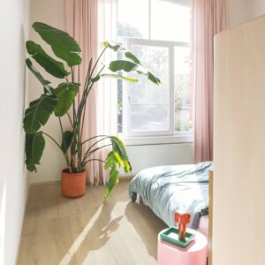 Roble beige cepillado